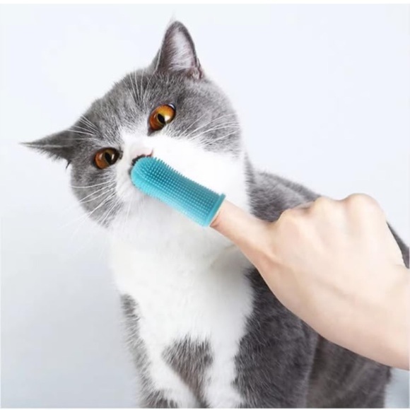 Pets 360º Dog Toothbrush‎ Kit - Blue - Picture 6 of 11
